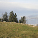 Stockberg: Gipfelkreuz und Fahnemast über dem Zürichsee