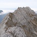 Noch einmal zurückblickend von der Südlichen Riffelspitze der Waxensteinkamm: die Schönangerspitze ist das kühne Horn, dahinter als höchster Punkt der Große Waxenstein