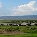 Masai-Hütten an einer grossen Wasserstelle
