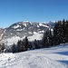Der Kalkstein