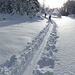 reichlich Schnee auf der Forststrasse