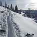 reichlich Powder und eine gute Spur