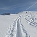 Spuren überall.....oben und unten