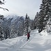 den Rest erledigt die Forstpiste, schee war's wieder mal am Schafreuter