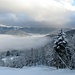 <br />les Vosges en hiver