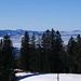 Aussicht vom Gäbris: Links St.Galler Berge vom Ricken bis zum Züri Oberland, rechts Hörnli, rechts davon klein sichtbar die Wolkenkugel vom KKW Gösgen (113 km)