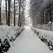 Strada per Bignes