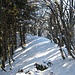 Facile e bella cresta
