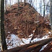 ... zum Hügel der Ruine Rohrberg