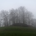 nur undeutlich zeigt sich die Burgstelle Gutenburg im Nebel ...