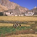 Vallée de la Markha (Ladakh)