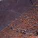 Descente du Col du Stok-La (4950m, Ladakh)