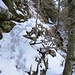 Dank Wildspuren habe ich diese obligate Passage auf 1350m auf Anhieb gefunden