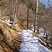 Für den Rückweg wähle ich die bequeme Forststrasse