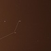 Das Sternbild Maler (Pictor) steht tief am Südsternhimmel und bleibt Mitteleuropa unsichtbar, lediglich der nördlichste Teil um β Pic kann von Kreta oder Zypern sehen. Um das ganze Sternbild zu sehen muss man südlicher als 26°N stehen, so kann man es über dem Südhorizont im Winter in den Vereinigten Arabischen Emirate, Taiwan oder weiten Teilen Mexikos sehen. Die wichtigsten Sterne des Malers sind:<br /><br />α Pic:<br />Helligkeit 3,24mag; Entfernung 99Lj.; Spektrum A7IV; 2,2-fache Sonnenmasse; 3,1-facher Sonnendurchmesser; 35-fache Sonnenleuchtkraft; Rotationsdauer 18 Stunden<br /><br />β Pic:<br />Helligkeit 3,86mag; Entfernung 63,4Lj.; Spektrum A5V; 1,75-fache Sonnenmasse; 1,8-facher Sonnendurchmesser; 8,7-fache Sonnenleuchtkraft; Rotationsdauer 16 Stunden; der Stern wird von einer Staubscheibe und einem bekannten Planeten umkreist; der Plate ist 8mal schwerer als Jupiter und hat eine Umlaufzeit von 7300 Tagen.<br /><br />γ Pic:<br />Helligkeit 4,50mag; Entfernung 174Lj.; Spektrum K1III; 12-facher Sonnendurchmesser; 69-fache Sonnenleuchtkraft