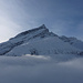 Einshorn über dem Nebelmeer