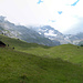Clabinualp