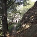 Auf dem Wanderweg nach der Alpe Pra.