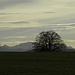 der Föhn-mein Freund