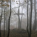 Gipfelkreuz des Rosenberg in Wald und Nebel