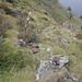 Dieser Stock und der kleine Steinmann markierten zur Zeit miener Begehung die Stelle, an der der Pfad zur Alpe Cavrua die Steile Bergwiese verläßt und die Hänge der Corona di Ghina quert.