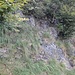 Und so sieht dann der "Weg" aus. Hauptsächlich kann man sich nur an Schnitt- und Trittspuren in den Büschen orientieren. Auf dem Bild erkennt man oberhalb der Bildmitte einige Steine, die hier als Wegtrasse gelegt wurden. 