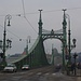 Szabadság híd in Budapest, die Freiheitsbrücke über die Duna die den östlichen Stadtteil Pest mit dem Westlichen Buda verbindet.<br /><br />Die Brücke wurde am 20.8.1946 neu eröffnet nachdem sie nach Originalplänen nachgebaut wurde da die ursprüngliche 1896 gebaute Brücke von der Wehrmacht gesprengt wurde.