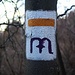 Die Wanderroute von Gyöngyös über den Sár-hegy nach Mátrafüred ist mit weiss-gelb-weissen Streifen markiet. Manchmal findet man auch die lila farbene Markierung "M".