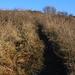 Oberhalb der Rebberge von Gyöngyös schlängelt sich der Wanderweg durch offene Landschaft zum Hügelrücken hinauf.