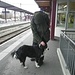 Bahnhofhund von Saignélegier