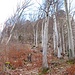 Der Aufstieg vom Wanderweg zur Felswand
