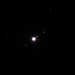Die Jupitermonde Kallisto, Europa, Io, Ganymed v. li n. re am 29. Dezember, ganz schön verändert.<br /><br />Le lune del Giove Kallisto, Europa, Io, Ganymed di sinistra a destra il 29 di dicembre, abbastanza cambiate.