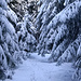 Wintertraumland Fichtelgebirge.