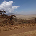 Blick in Richtung Serengeti