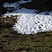 Sogar einige Schneeflecken finden sich noch im Schatten
vor 2 Wochen war noch eine geschlossene Schneedecke
