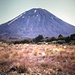 Der Mount Ngauruhoe dominiert auf der ganzen Tour die Sicht