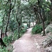 Die Wege oberhalb des Klosters sind gut angelegt und verlaufen zu einem guten Teil im Wald, was im Sommer sicherlich angenehm ist.
