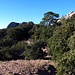 Die Landschaft des Montserratmassivs in etwa 1000m Hoehe.