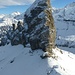 Blick vom Gipfel des Kleinen Lobhorns